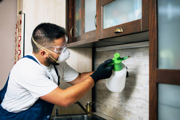 Best Cockroach Control Services  in Norton, KS