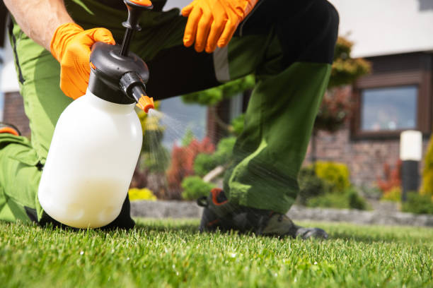 Best Pest Removal Services  in Norton, KS