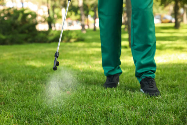 Best Flea Control Services  in Norton, KS