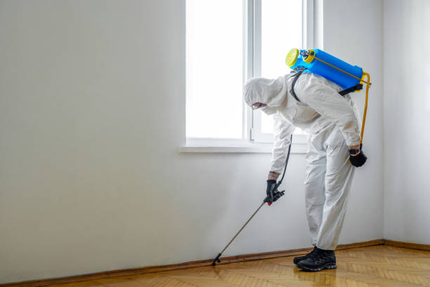 Best Termite Control Services  in Norton, KS