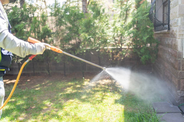 Reliable Norton, KS Pest Control Solutions