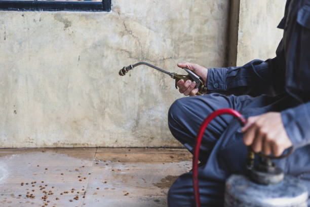 Best Pest Inspection Near Me  in Norton, KS